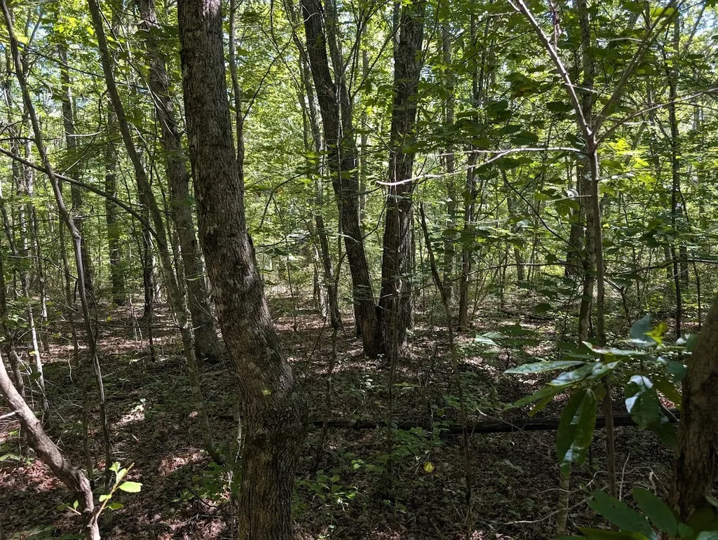 140 Sunset Bluff Way Monteagle TN 37356
