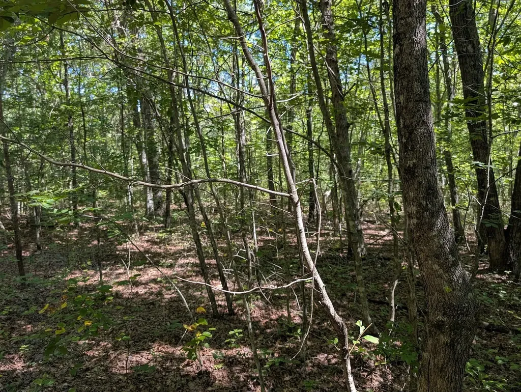 140 Sunset Bluff Way Monteagle TN 37356