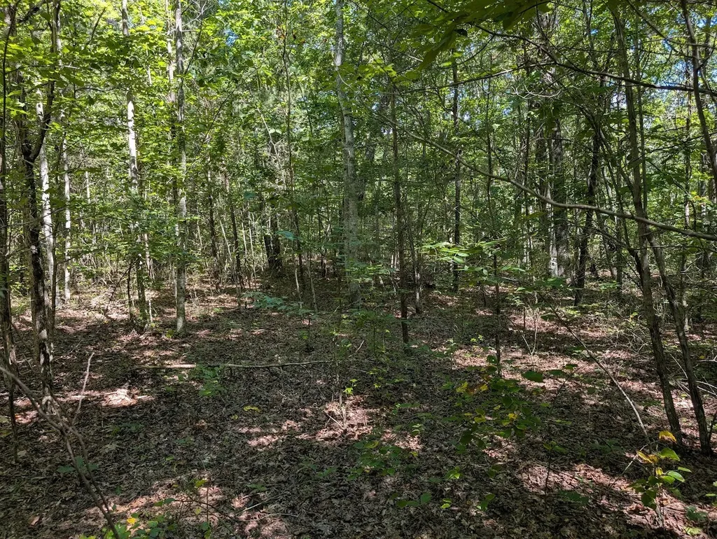 140 Sunset Bluff Way Monteagle TN 37356