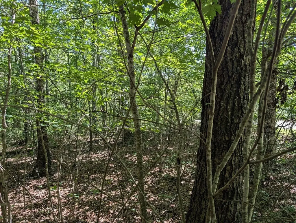 140 Sunset Bluff Way Monteagle TN 37356