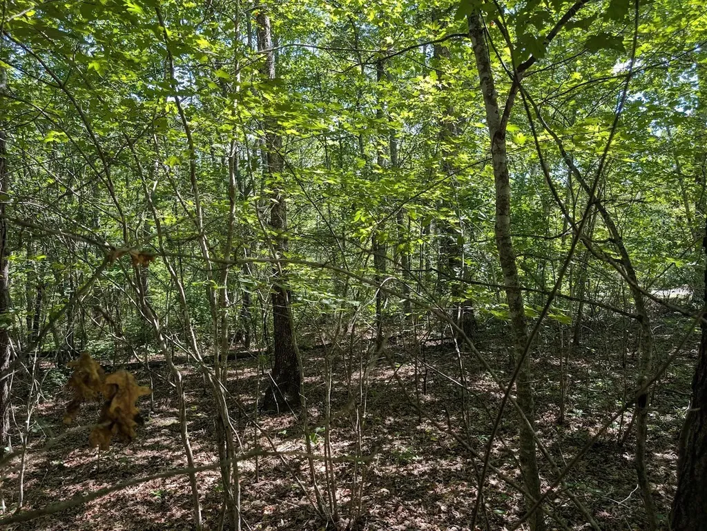 140 Sunset Bluff Way Monteagle TN 37356