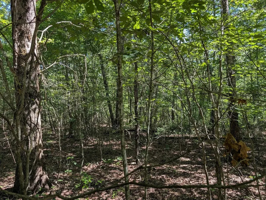 140 Sunset Bluff Way Monteagle TN 37356