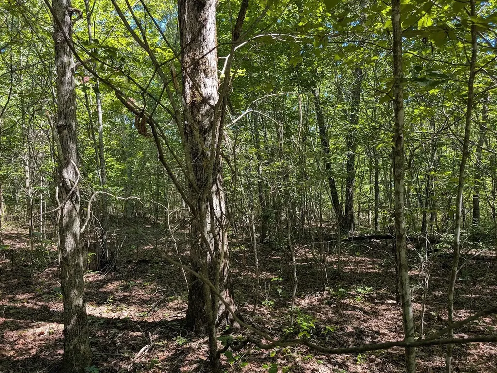 140 Sunset Bluff Way Monteagle TN 37356