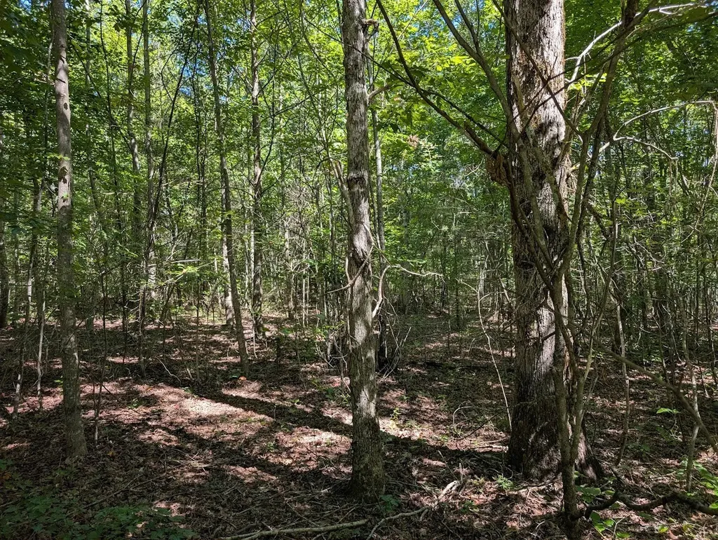 140 Sunset Bluff Way Monteagle TN 37356