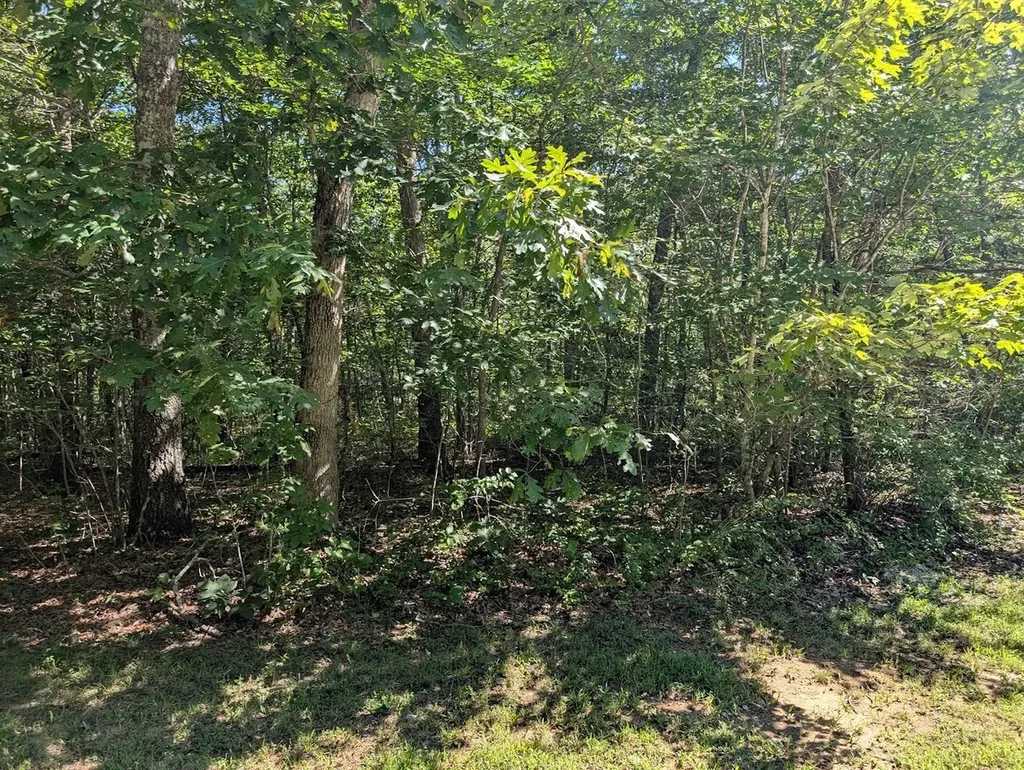 140 Sunset Bluff Way Monteagle TN 37356