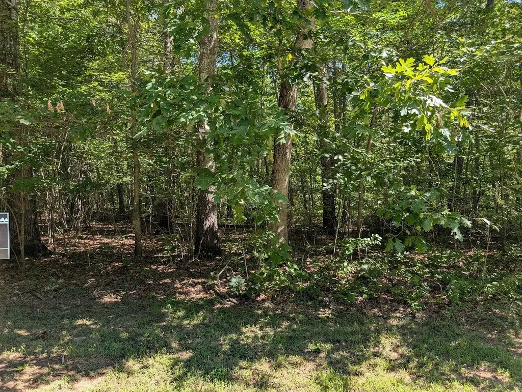 140 Sunset Bluff Way Monteagle TN 37356