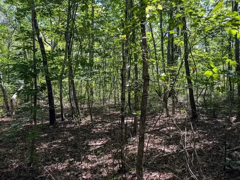 140 Sunset Bluff Way Monteagle TN 37356