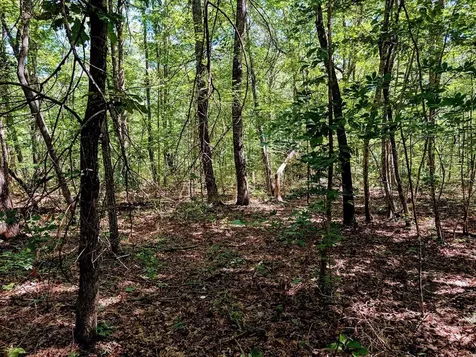 140 Sunset Bluff Way Monteagle TN 37356