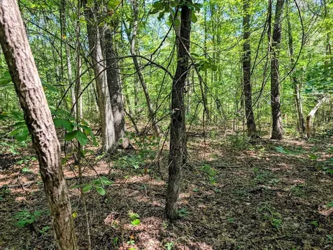 140 Sunset Bluff Way Monteagle TN 37356