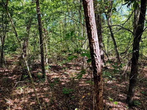 140 Sunset Bluff Way Monteagle TN 37356