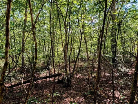 140 Sunset Bluff Way Monteagle TN 37356