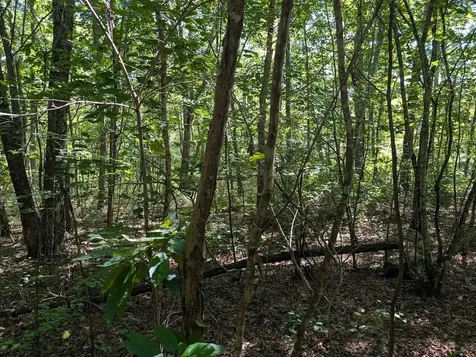 140 Sunset Bluff Way Monteagle TN 37356