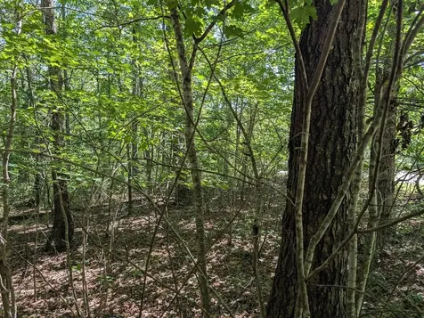 140 Sunset Bluff Way Monteagle TN 37356