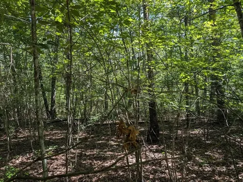 140 Sunset Bluff Way Monteagle TN 37356