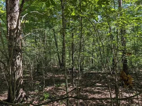 140 Sunset Bluff Way Monteagle TN 37356