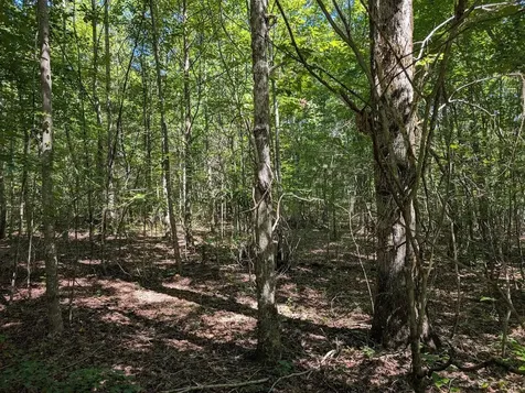 140 Sunset Bluff Way Monteagle TN 37356