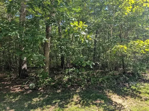 140 Sunset Bluff Way Monteagle TN 37356