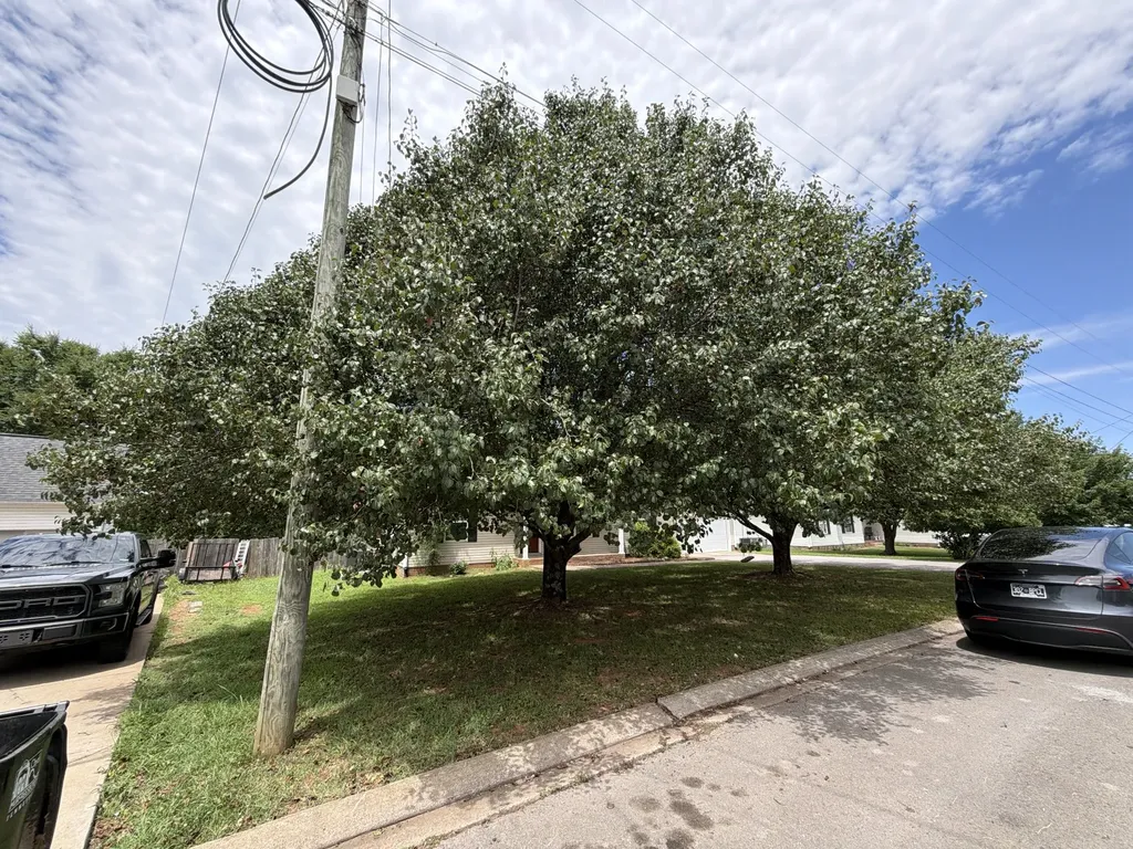 1976 Bishop Avenue Murfreesboro TN 37127