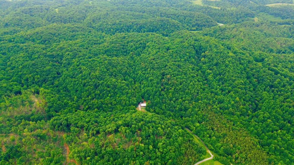 150 Amons Lane Lafayette TN 37083