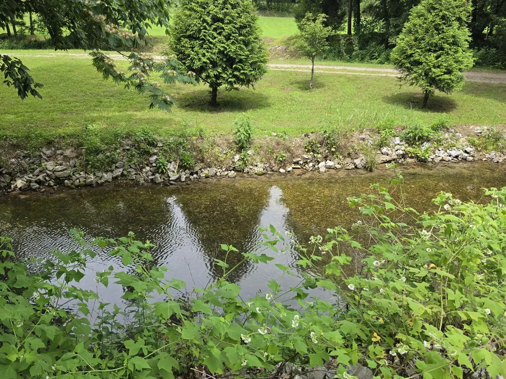 448 Osage Lane Bradyville TN 37026
