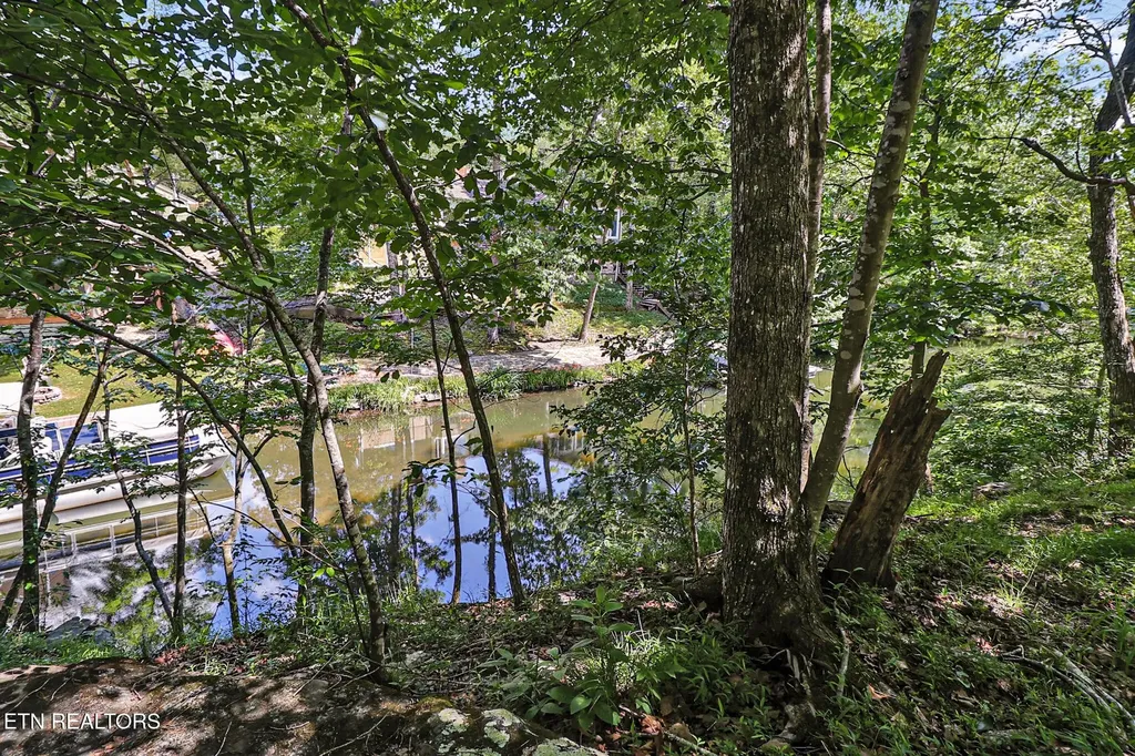 159 Ivy Brook Lane Crossville TN 38558