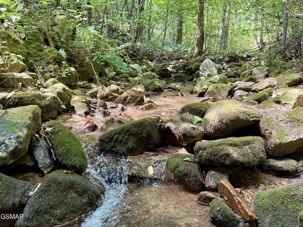 154 Summit Trails Drive Sevierville TN 37862