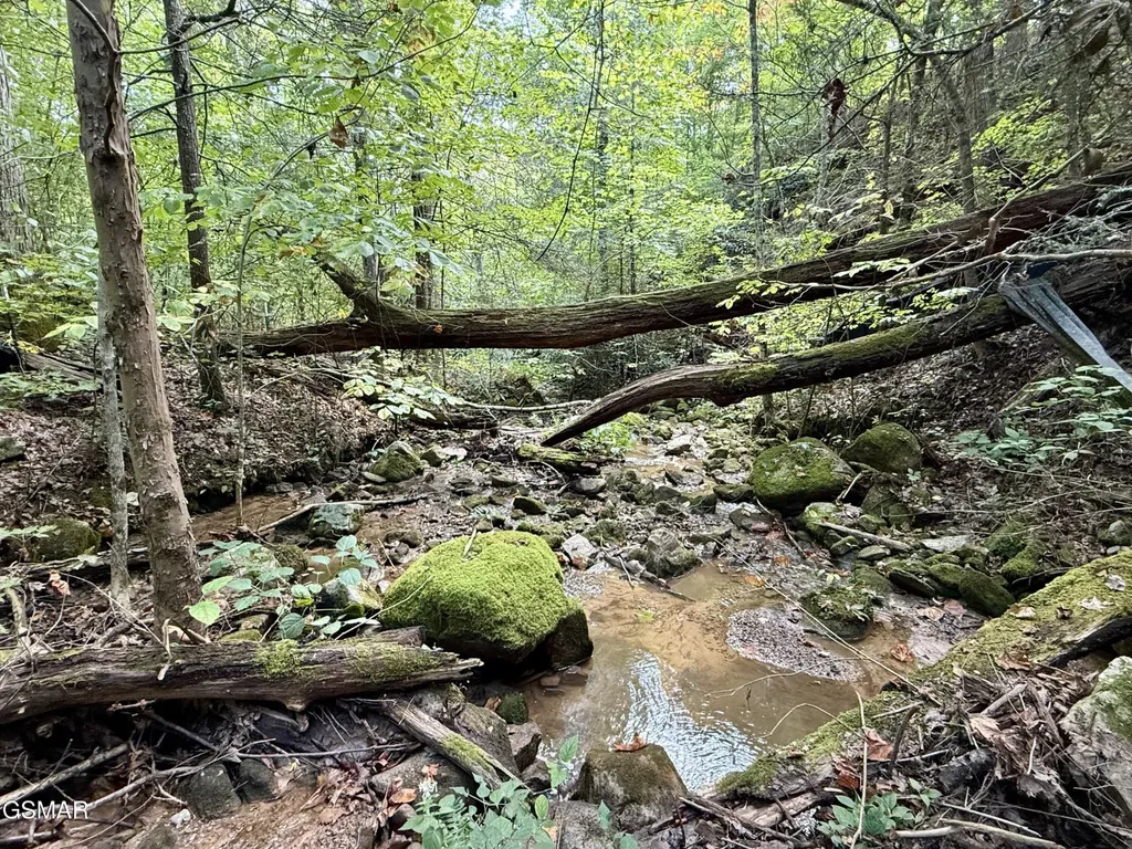 154 Summit Trails Drive Sevierville TN 37862