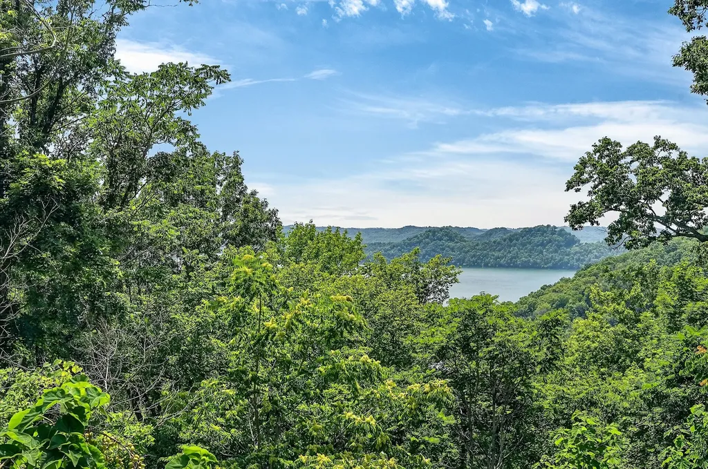 241 Nautilus Point Silver Point TN 38582