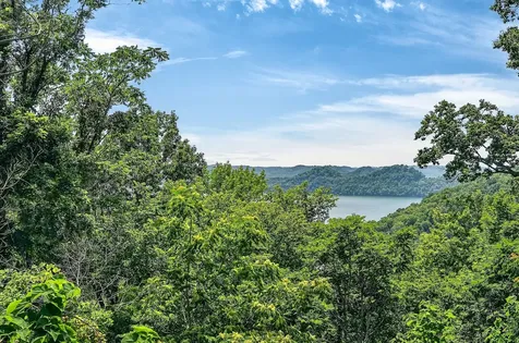 241 Nautilus Point Silver Point TN 38582
