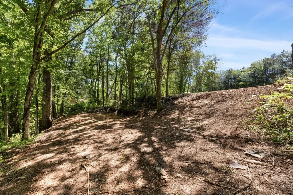 0 Highway 13 Linden TN 37096
