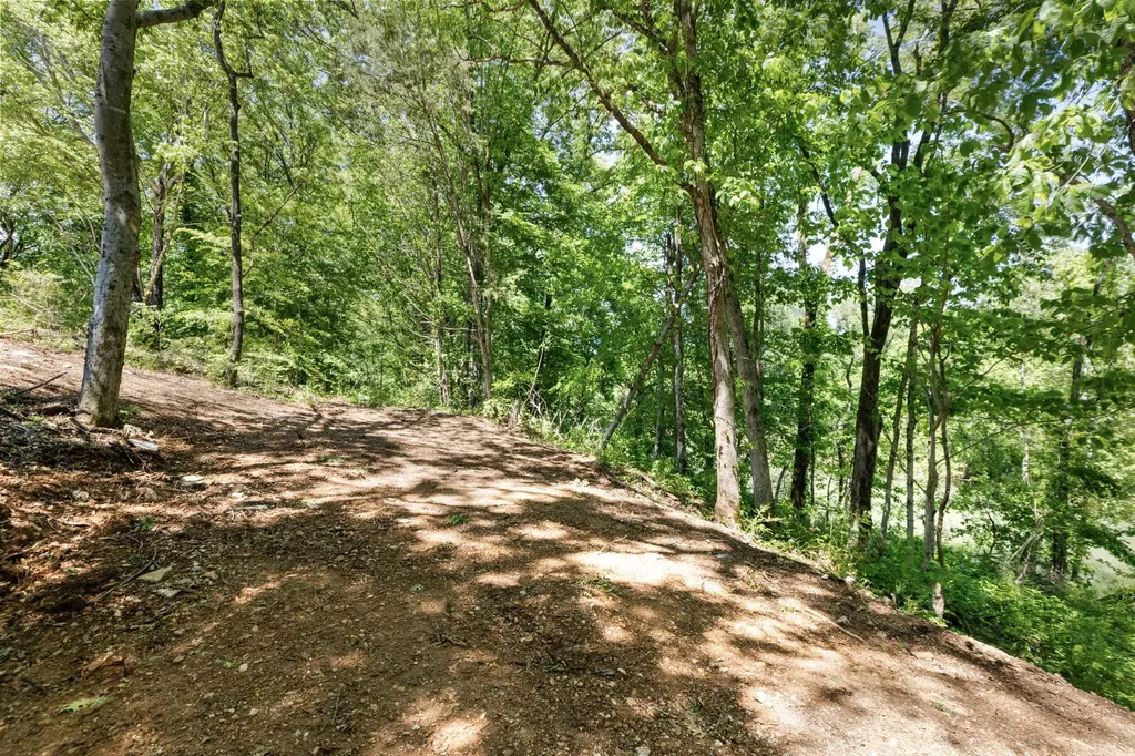 0 Highway 13 Linden TN 37096