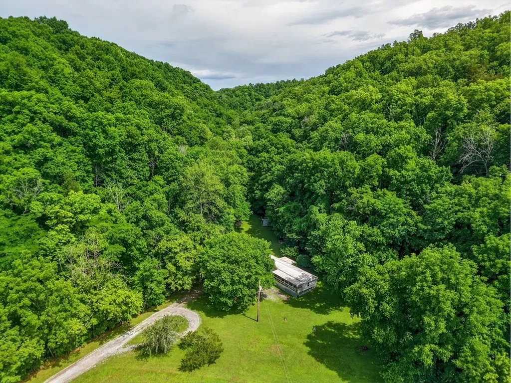 278 Aaron Pennington Lane Celina TN 38551