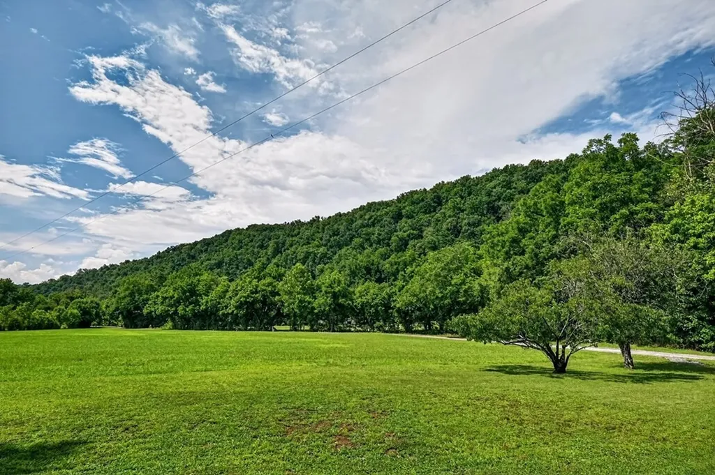 278 Aaron Pennington Lane Celina TN 38551