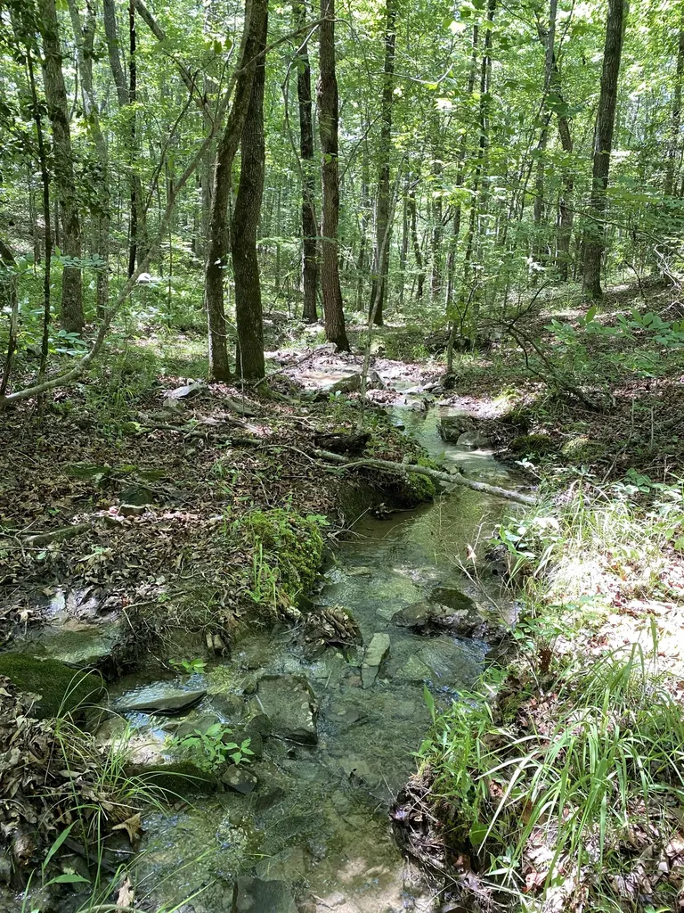 118 Cherokee Road Spencer TN 38585