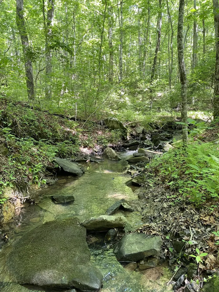 118 Cherokee Road Spencer TN 38585