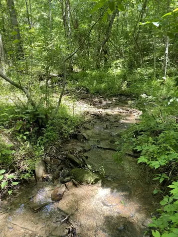 118 Cherokee Road Spencer TN 38585