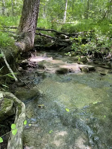 118 Cherokee Road Spencer TN 38585