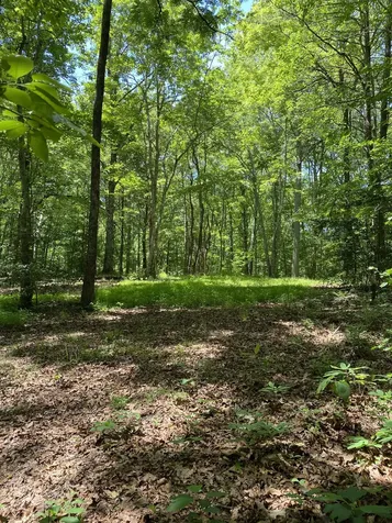 118 Cherokee Road Spencer TN 38585