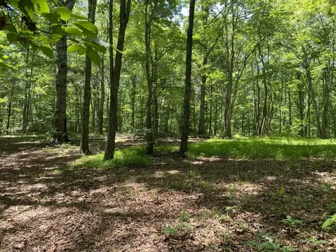 118 Cherokee Road Spencer TN 38585