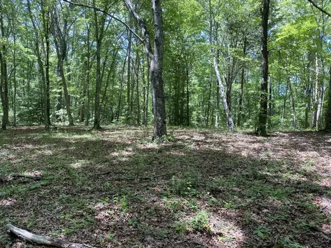 118 Cherokee Road Spencer TN 38585