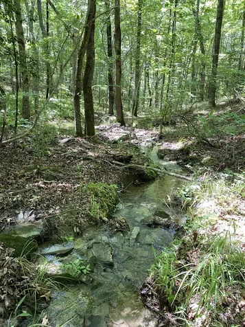118 Cherokee Road Spencer TN 38585
