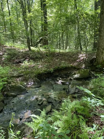 118 Cherokee Road Spencer TN 38585