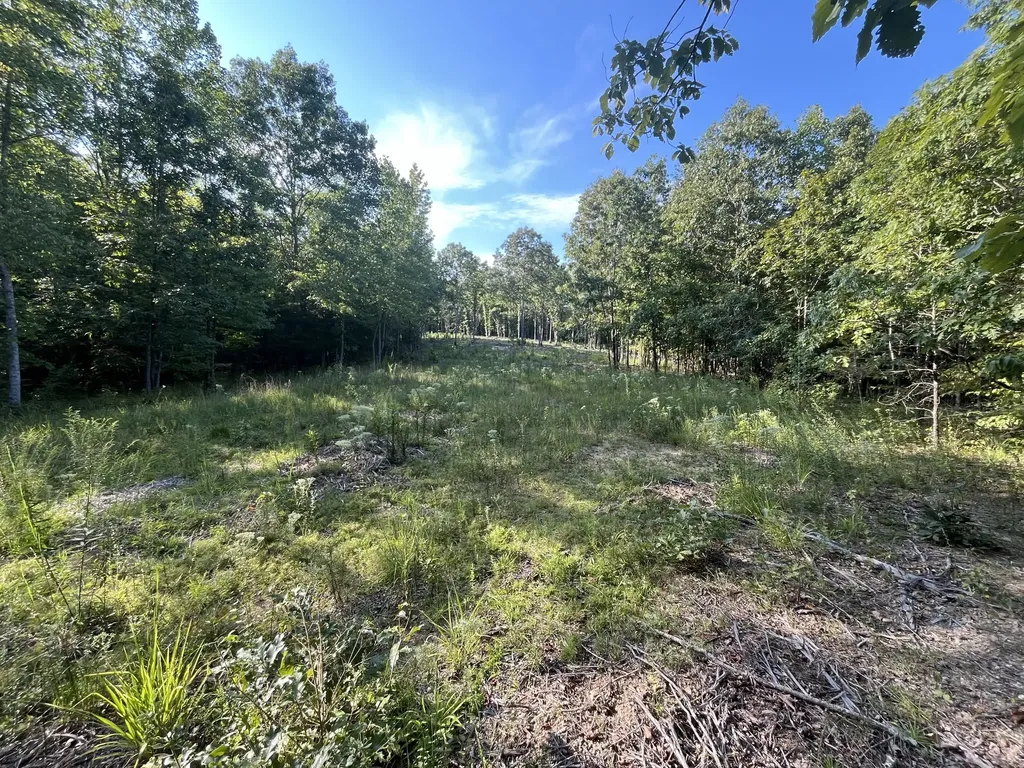 481 Hillbrook Drive Linden TN 37096