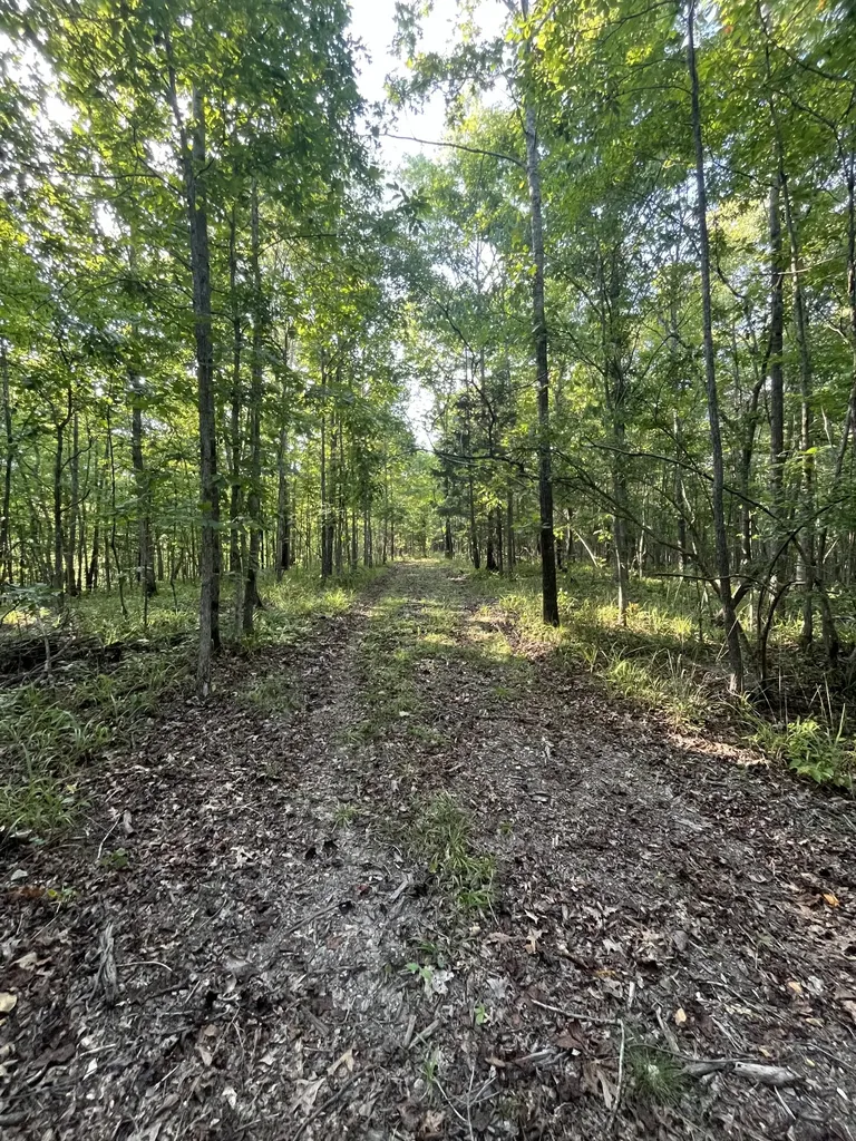 481 Hillbrook Drive Linden TN 37096