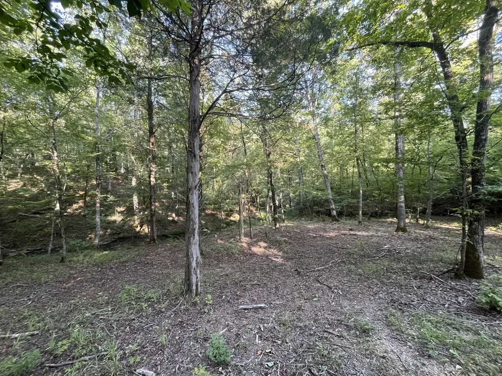 481 Hillbrook Drive Linden TN 37096