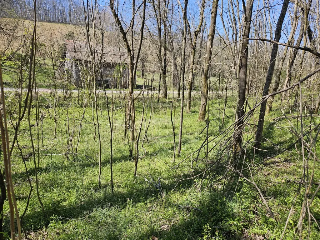 2515 Smith Hollow Road Lynnville TN 38472