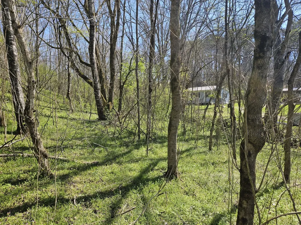 2515 Smith Hollow Road Lynnville TN 38472