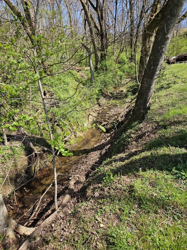 2515 Smith Hollow Road Lynnville TN 38472