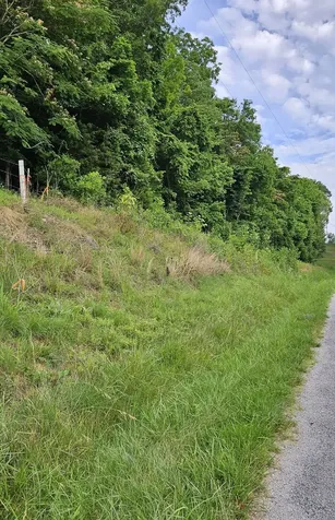 2515 Smith Hollow Road Lynnville TN 38472