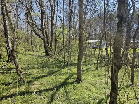 2515 Smith Hollow Road Lynnville TN 38472